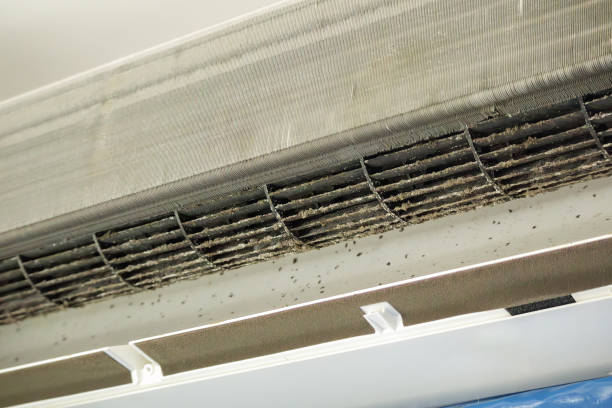 Best HVAC Air Duct Cleaning  in Jonesboro, LA